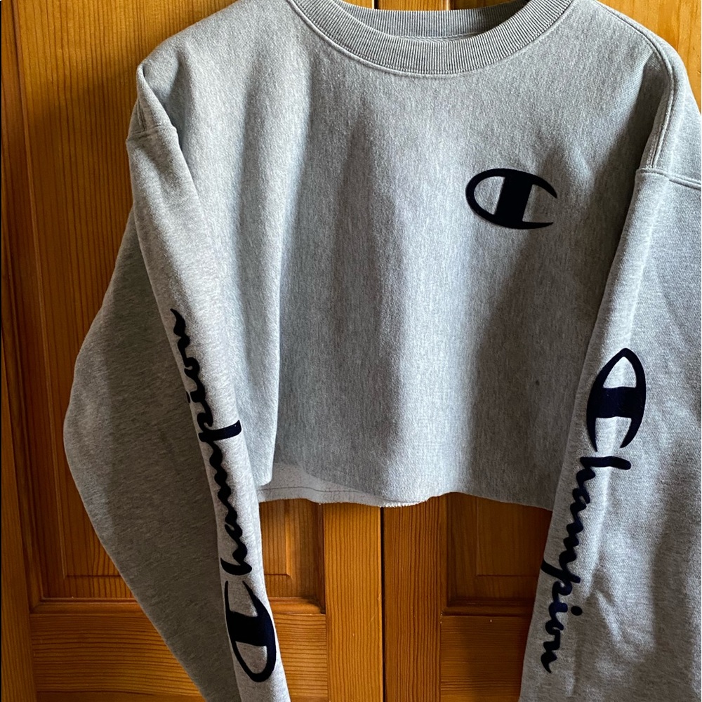 Urban Outfitters Champion crop sweatshirt